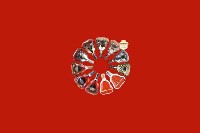 中山市火炬区回收红酒